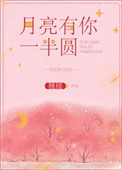 月亮有你一半圆小说番外